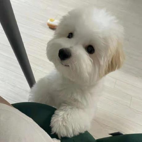 Github Wenkai He Simplequestionnaire - Creative 4K Ocean Images | Free Download