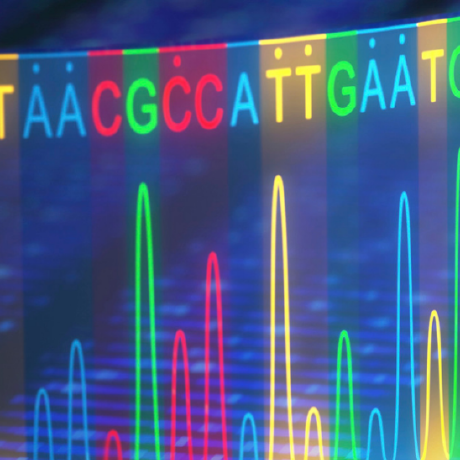 A338wong Alan Wong Github - High Resolution City Backgrounds for Desktop