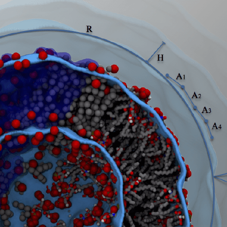 Github Biomat Usp Rp Suave Software Source V2 0 - Elegant Retina Abstract Pictures | Free Download