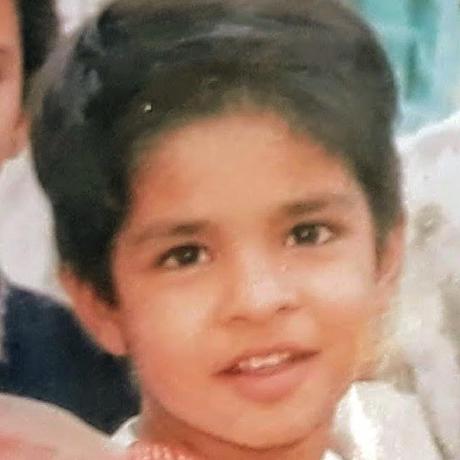 Harisheoran Harish Sheoran Github - Landscape Illustrations - Stunning Desktop Collection