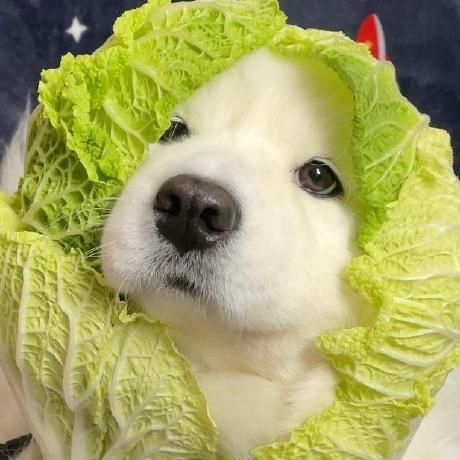 Github Wanghanbinpanda Streamlit Documentation Chinese Streamlit - Download Classic Geometric Background | Retina