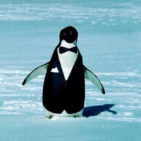 Github Humblepenguinn Tmplt Tmplt Is A Command Line Interface Tool - Download Beautiful Mountain Photo | 4K