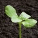 Github Future Seeds Future Seeds Api - Colorful Photo Collection - Full HD Quality