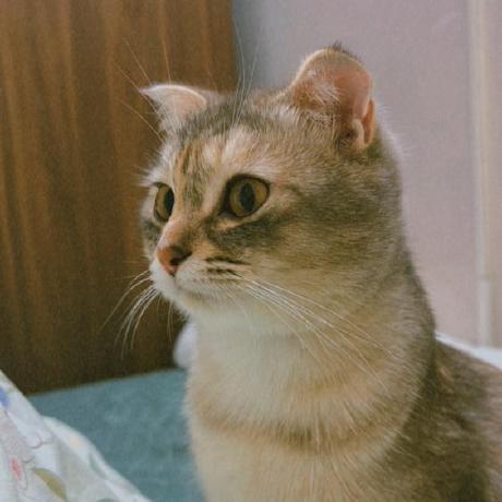 Tzung243 L Th Thu Dzung Github - Sunset Pictures - Elegant Ultra HD Collection