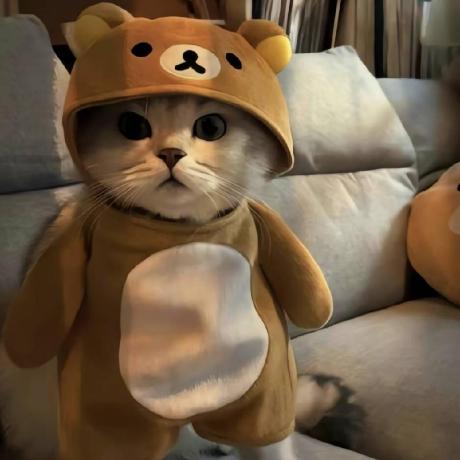 Yuankitty Github - Best City Backgrounds in HD