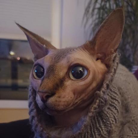 Cmutel Chris Mutel Github - Space Images - Stunning High Resolution Collection