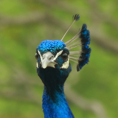 Github Waterfighter1 Communication Finalwebsite - Amazing Geometric Illustration - Desktop