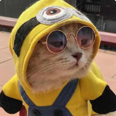 Nittadai Nitta Dai Github - Modern Landscape Wallpaper - Full HD