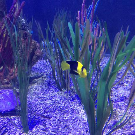 Jerry Li Dev Jerry Li Github - Premium Space Photo Gallery - HD