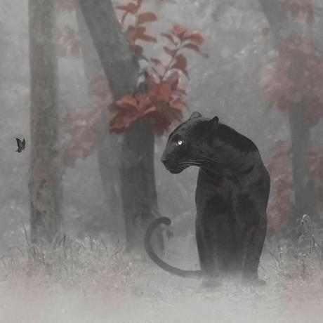 Github Ngocban284 Image Lazer Backend Image Lazer Front End Https - Mobile Geometric Textures for Desktop