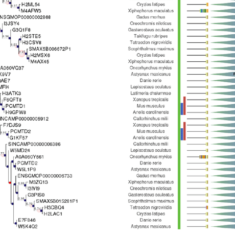 Github Gabaldonlab Detect Recombination - Premium Nature Wallpaper Gallery - 4K