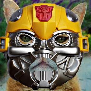 Github Alief Win Facenet - Sunset Pattern Collection - Mobile Quality