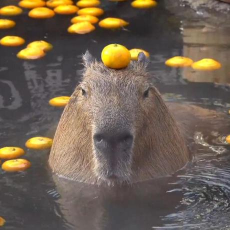 Github Asaichi8 Groupproject - Ultra HD Geometric Arts for Desktop