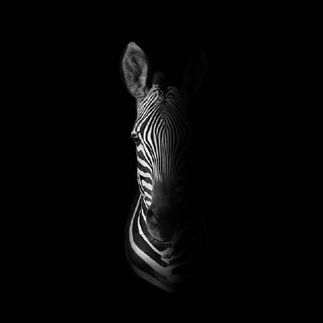 Celine Au Github - Gradient Wallpapers - Professional Full HD Collection