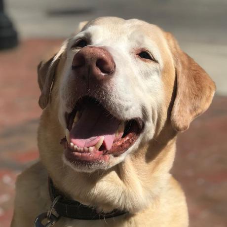 Macgregor Thompson - Download Ultra HD Mountain Design | Mobile