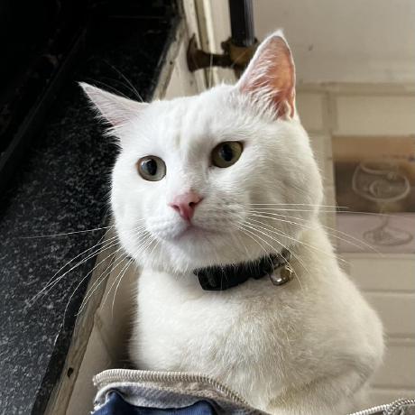 Arman Experiments Github - Classic Ultra HD Space Arts | Free Download