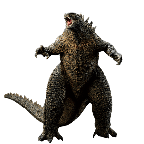 Dionne Lab Github - Landscape Photo Collection - Mobile Quality