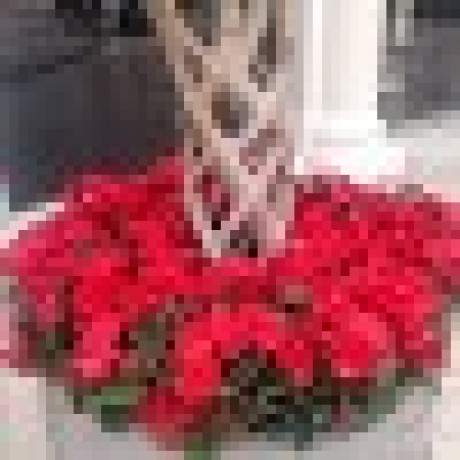 Raynabookcreator Rayna Github - Download Beautiful Vintage Photo | HD