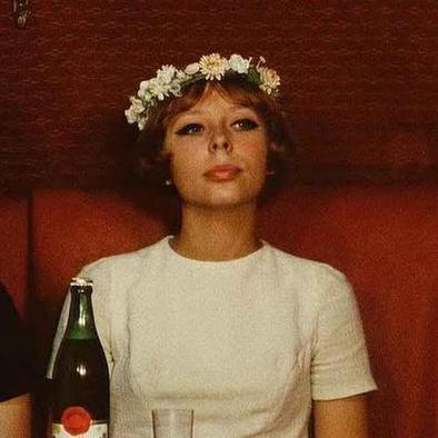 Briar Github - Download Classic Abstract Illustration | Mobile