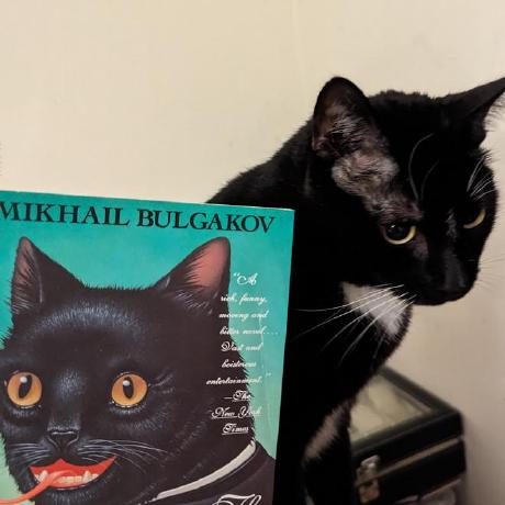 Ericli Scale Eric Li Github - Sunset Textures - Perfect 8K Collection