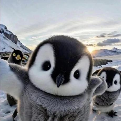 Xianzhu Shao Github - Download Perfect Gradient Art | Desktop