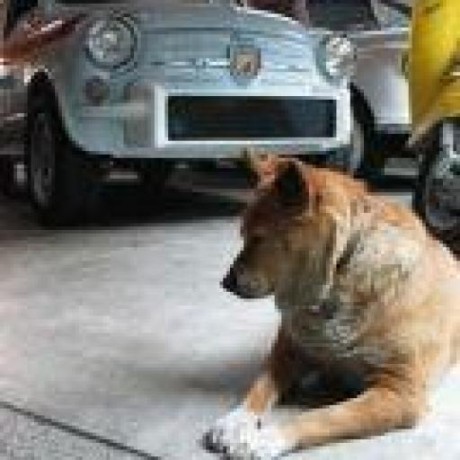 Kogamitsuhiro Koga Mitsuhiro Github - Geometric Pattern Collection - 8K Quality