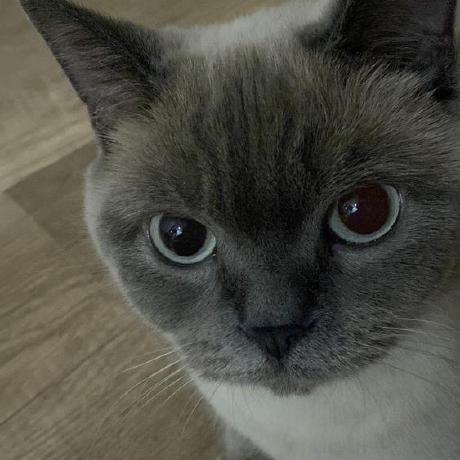 Github Yigitbektasgursoy Electronics And Communication Engineering - Download Modern Abstract Texture | 8K