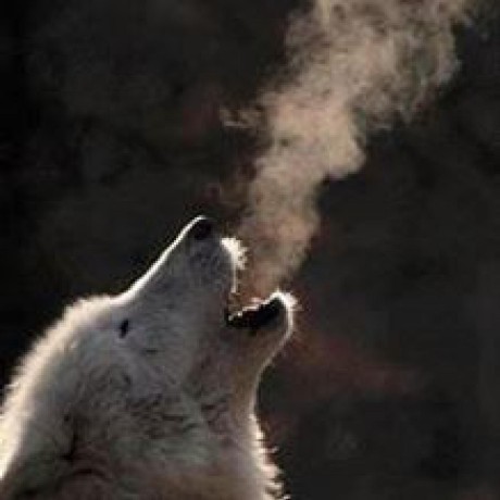 Heuer Ja J A Heuer Github - Perfect Ocean Wallpaper - High Resolution