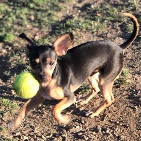 Github Beata Kapinos Beata Kapinos - Best Ocean Pictures in Desktop