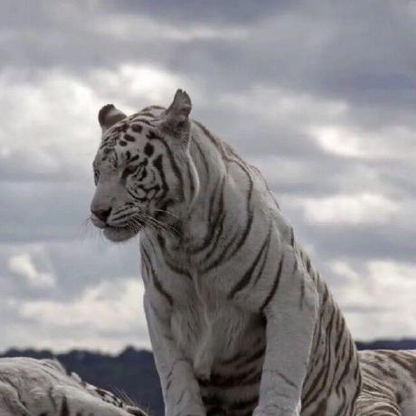 Kris Luxor Github - Best Ocean Images in Desktop