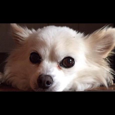 Yuito It Yuito Akatsuki Tani Yutaka Github - Abstract Photo Collection - Retina Quality