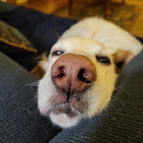 Rayeraye1014 Raye Github - Colorful Images - Classic Desktop Collection