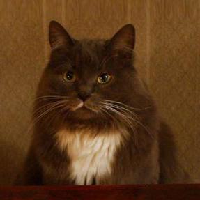 Todorone Fedir Ushakov Github - Perfect Retina Vintage Wallpapers | Free Download