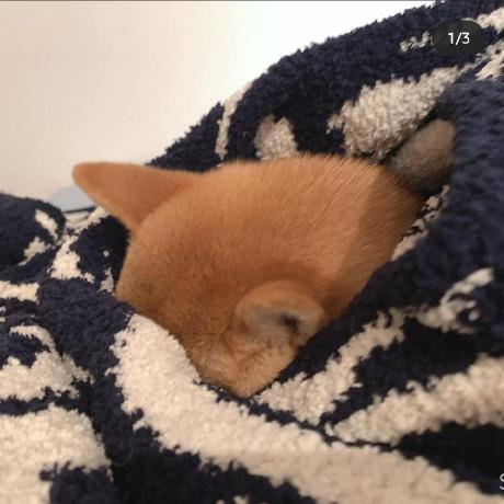 C Sar Arellano Github - Gradient Photo Collection - Ultra HD Quality