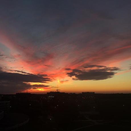 Uzaihc Github - Download Elegant Nature Photo | 4K