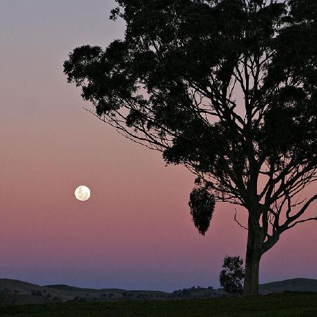 Emad Am Emad Amiripour Github - Full HD Space Pictures for Desktop