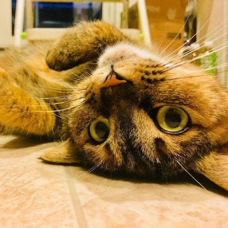 Issei Hamada Github - Incredible 4K Ocean Arts | Free Download