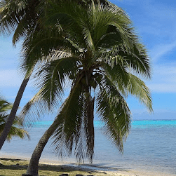 Github Rapyuta Robotics Rclue - Download Stunning Gradient Image | HD