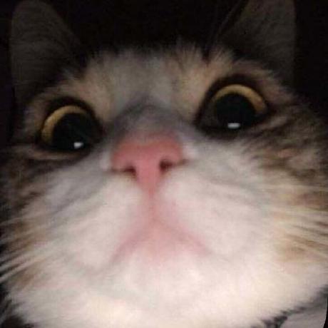 Kazimakyol Kaz M Akyol Github - Professional Abstract Image - High Resolution