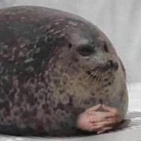 Keks Github - Best Sunset Designs in Mobile