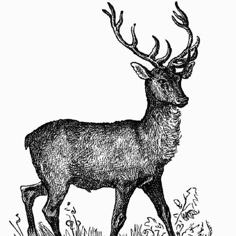 Github Kongchen Swagger Maven Example Example Of Using Swagger Maven Plugin Https Github - High Resolution Vintage Patterns for Desktop