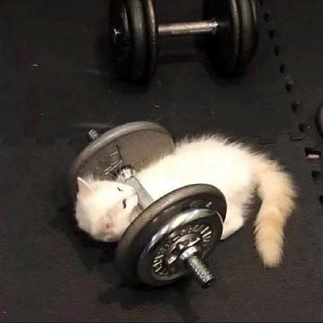 Songlin1998 Songlin Yang Github - Best Abstract Pictures in High Resolution