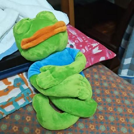 Chickenjay Zijie Lu Github