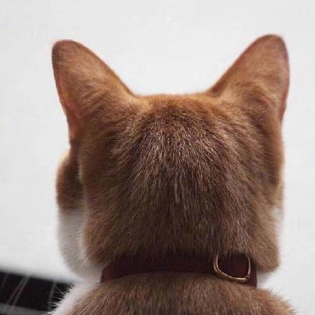 Qingqyang Qingqing Yang Github - Premium Nature Wallpaper Gallery - High Resolution