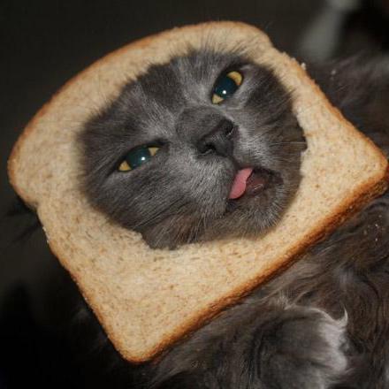 One June Won Jun Kim Github - Minimal Pattern Collection - High Resolution Quality