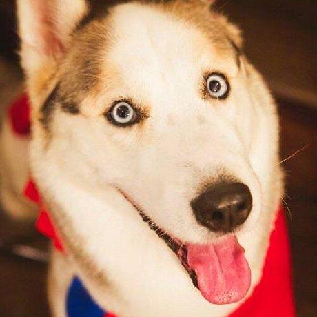 Staal It Erwin Staal Github - Mountain Illustrations - Amazing HD Collection