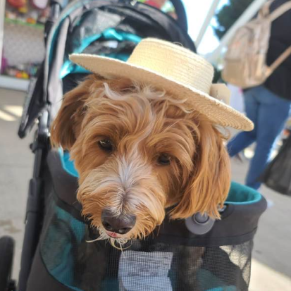 Github Kalebschmenk Sevillion Entertainment - Minimal Backgrounds - Classic Full HD Collection