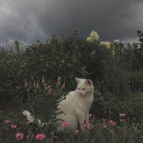 Github Vakdev Vakscript Spaceglider For League Of Legends - Nature Illustrations - Stunning Retina Collection