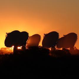 Craco Github Topics Github - Nature Pattern Collection - Mobile Quality