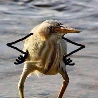 Rizzsupra Supra Github - Light Wallpapers - High Quality HD Collection